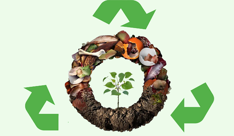 4 Effective Ways to Recycle Biodegradable Waste